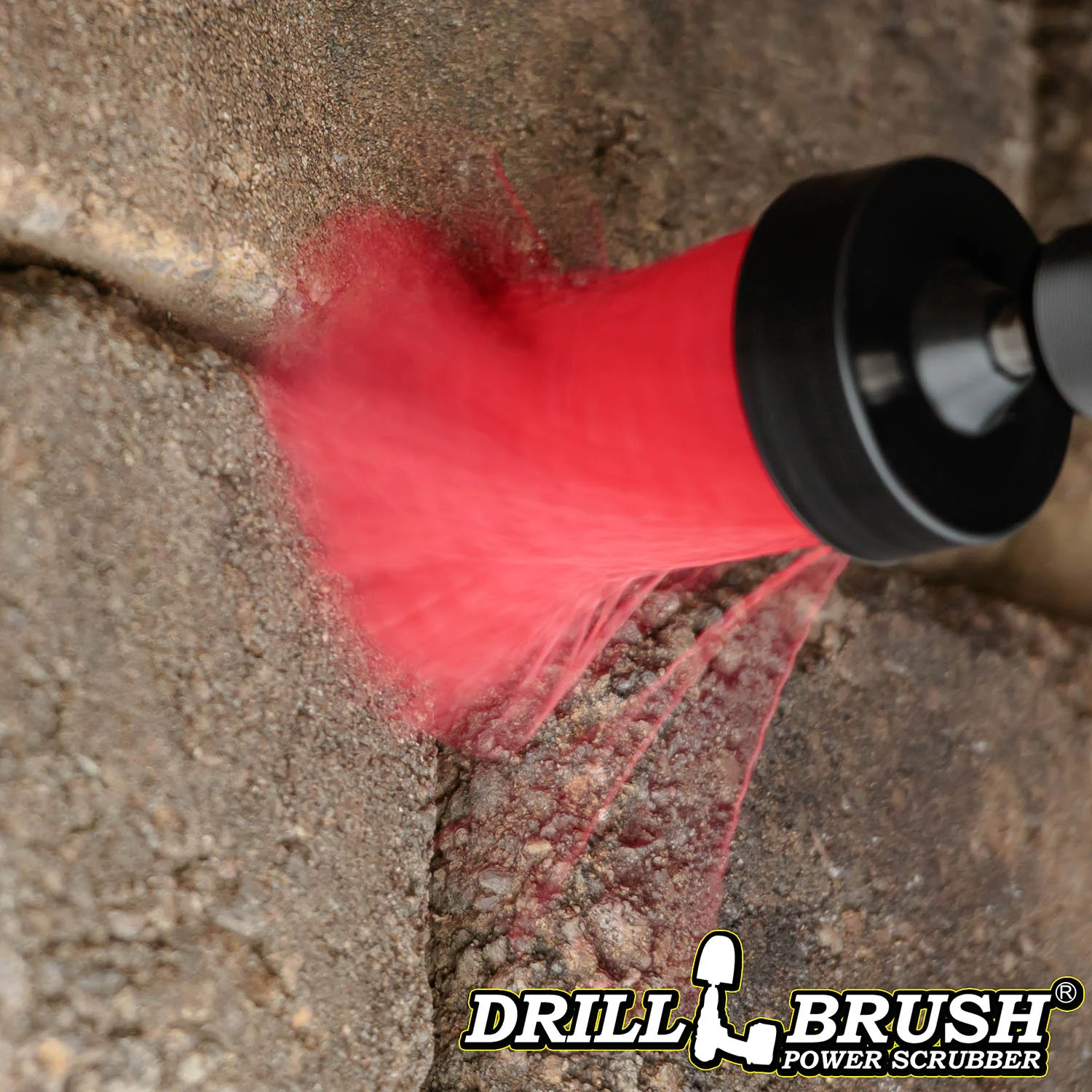 1in Red Brush - High Stiffness - Long Bristles - Outdoor & Patio Spot Cleaning | 1in-L-R-QC-DB - Image 3