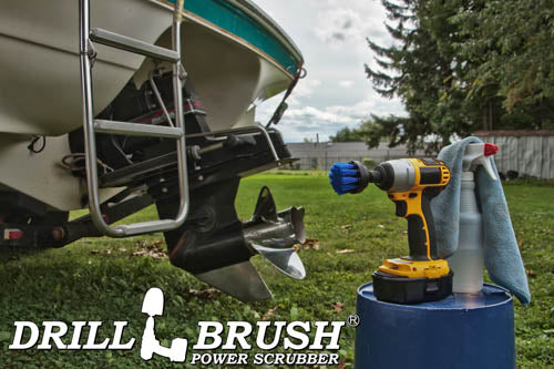 2in Blue Brush - Medium Stiffness - Short Bristles - Pool & Marine Cleaning | 2in-S-B-QC-DB - Image 5