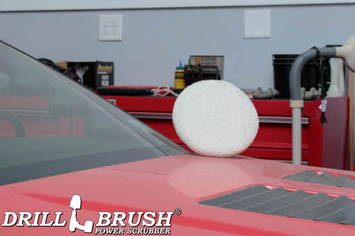 8 Inch Diameter White Fine Replacement Polishing Pad - Image 4
