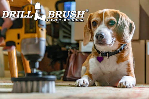 Original, 4in, and 2in Variety Brushes - Pet Care Cleaning | S-W4O-B2-QC-DB - Image 6